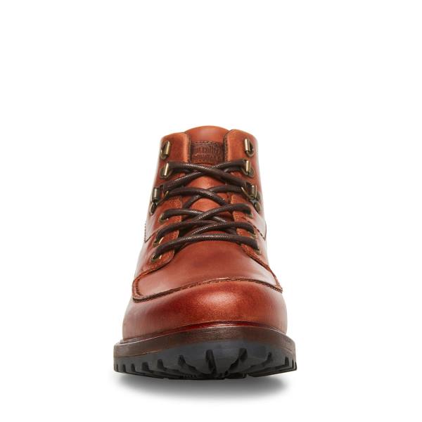 Botas Steve Madden Trekker Cognac Couro Masculino Marrom | SM-156EV