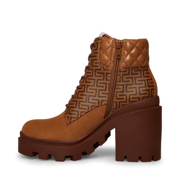 Botins Steve Madden Aryn Tan Feminino Marrom Multicoloridas | SM-325LZ