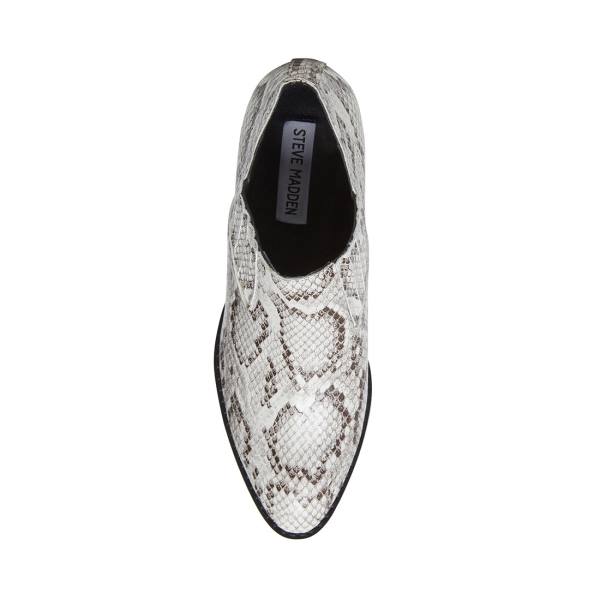 Botins Steve Madden Barnett Snake Feminino Pretas Branco Serpentine | SM-927AS