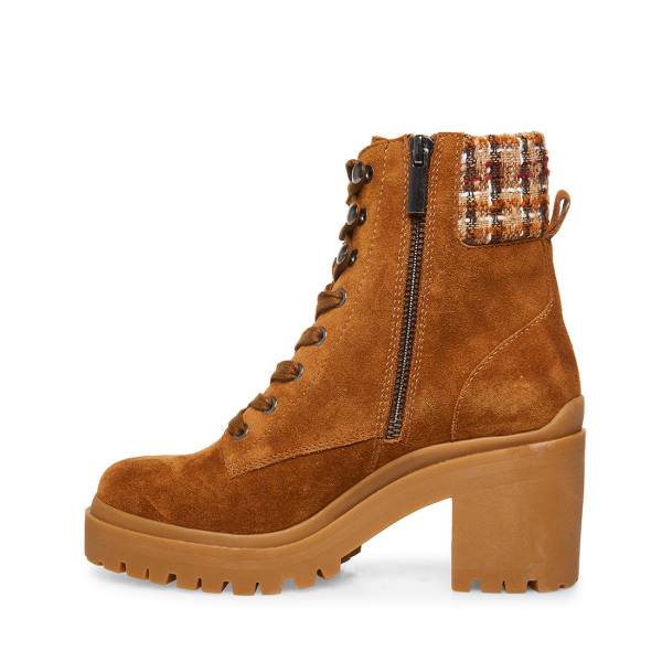 Botins Steve Madden Jaydin-f Camurça Feminino Marrom | SM-742LB