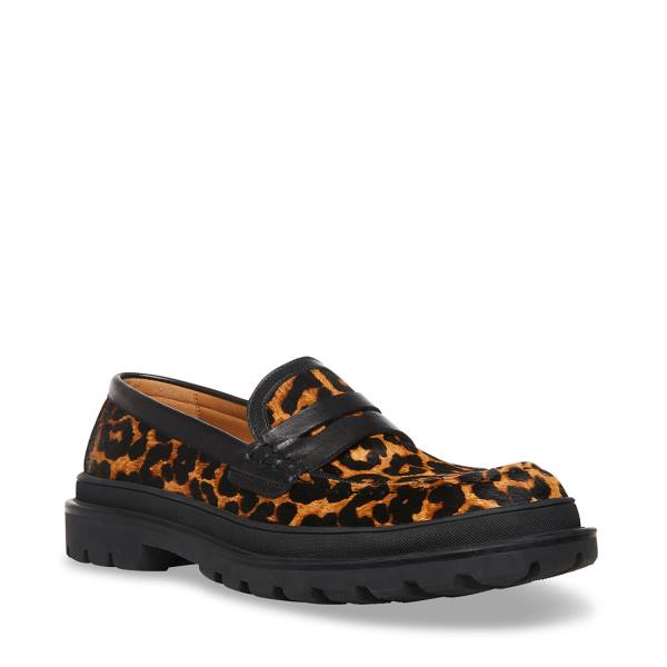 Loafers Steve Madden Charles Leopard Masculino Leopardo | SM-294KJ