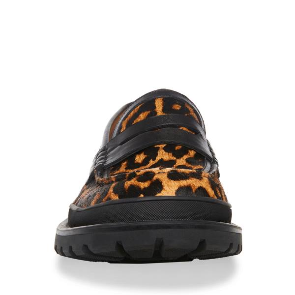 Loafers Steve Madden Charles Leopard Masculino Leopardo | SM-294KJ