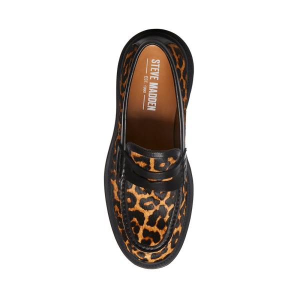 Loafers Steve Madden Charles Leopard Masculino Leopardo | SM-294KJ