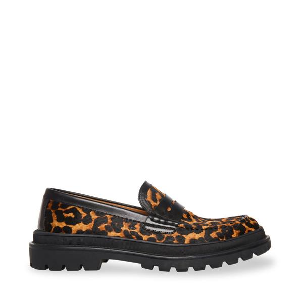 Loafers Steve Madden Charles Leopard Masculino Leopardo | SM-294KJ