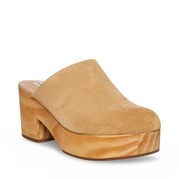 Salto Alto Steve Madden Bayridge Taupe Camurça Heel Feminino Cinzentas Marrom | SM-367LG