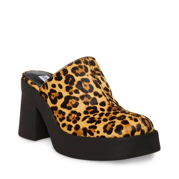 Salto Alto Steve Madden Kam Leopard Heel Feminino Leopardo | SM-986PA