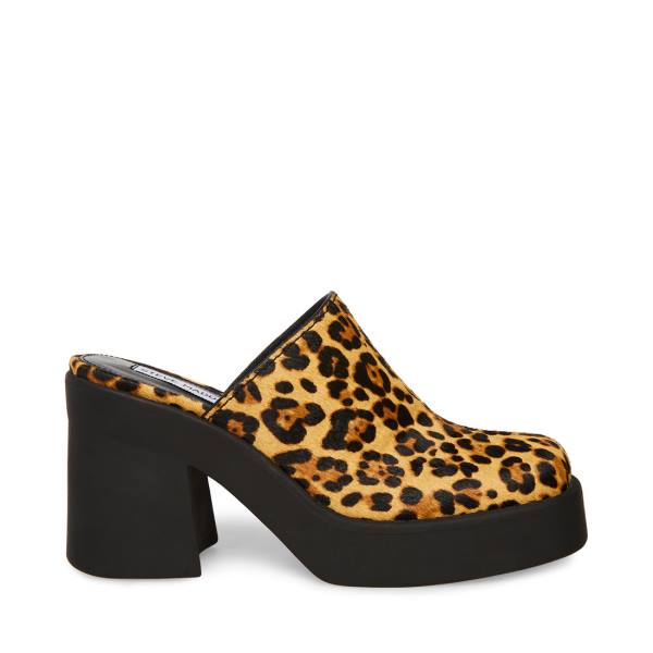 Salto Alto Steve Madden Kam Leopard Heel Feminino Leopardo | SM-986PA