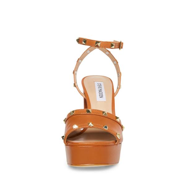 Salto Alto Steve Madden Tabari Cognac Couro Heel Feminino Marrom | SM-384XH