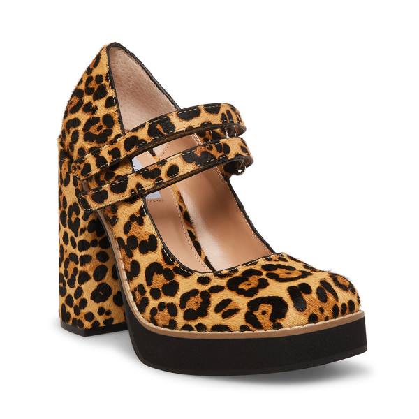 Salto Alto Steve Madden Twice-p Leopard Heel Feminino Leopardo | SM-641CK