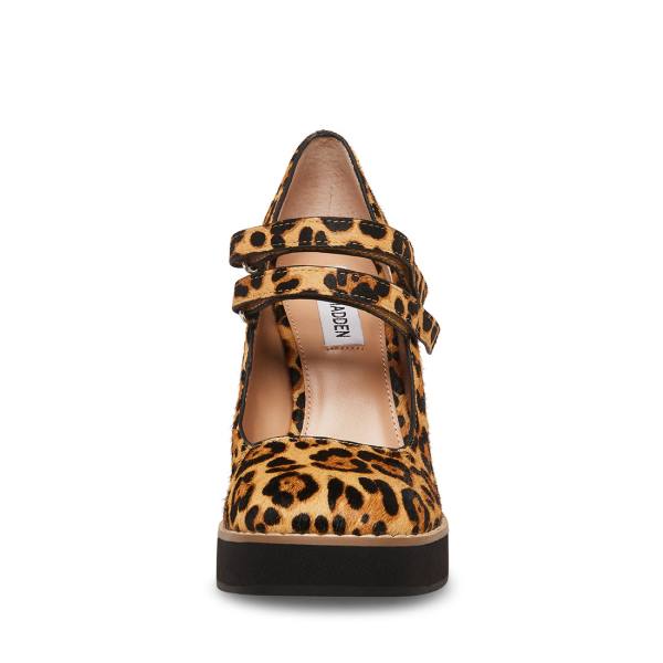 Salto Alto Steve Madden Twice-p Leopard Heel Feminino Leopardo | SM-641CK