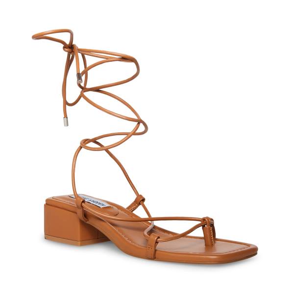 Sandalias Steve Madden Claremont Tan Feminino Marrom Escuro | SM-529VR