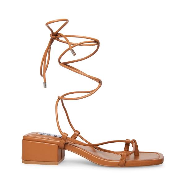 Sandalias Steve Madden Claremont Tan Feminino Marrom Escuro | SM-529VR