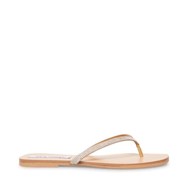 Sandalias Steve Madden Fairlie-r Feminino Diamond | SM-924BT