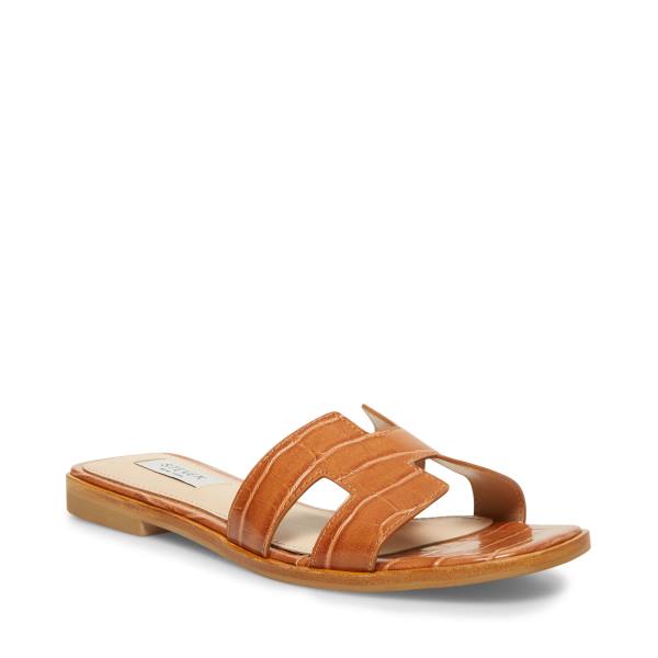 Sandalias Steve Madden Hadyn Cognac Feminino Marrom Multicoloridas | SM-201UW