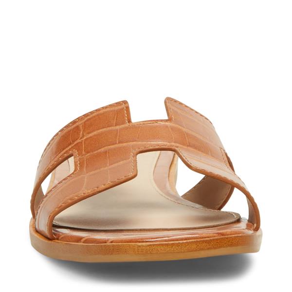 Sandalias Steve Madden Hadyn Cognac Feminino Marrom Multicoloridas | SM-201UW