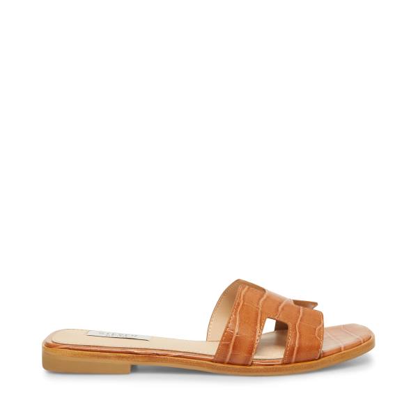 Sandalias Steve Madden Hadyn Cognac Feminino Marrom Multicoloridas | SM-201UW