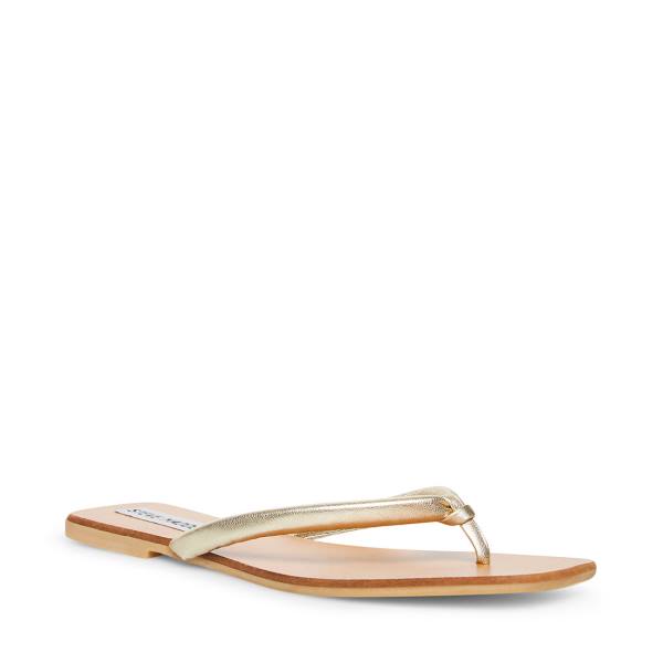 Sandalias Steve Madden Lighthouse Feminino Douradas | SM-509VR