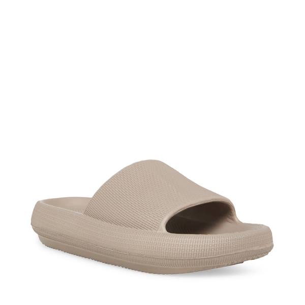 Sandalias Steve Madden Scuba Taupe Feminino Cinzentas Marrom | SM-309NA