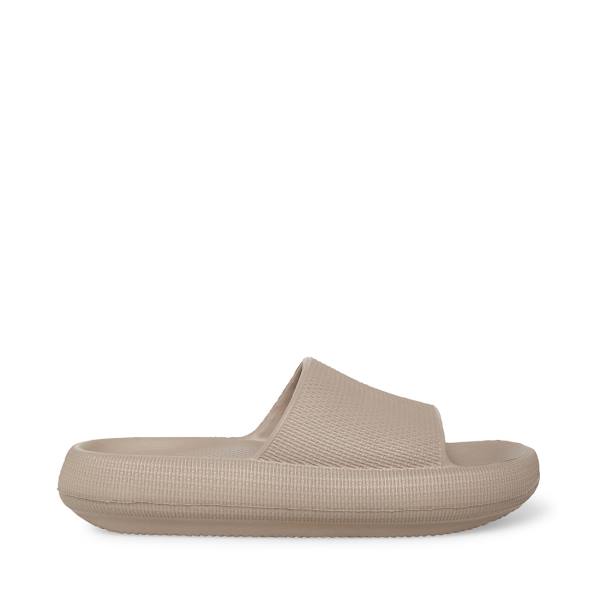 Sandalias Steve Madden Scuba Taupe Feminino Cinzentas Marrom | SM-309NA