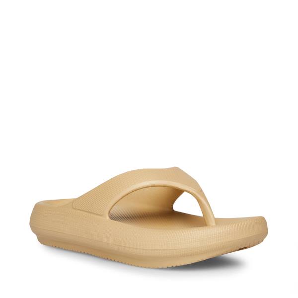 Sandalias Steve Madden Shelby Sand Feminino Marrom | SM-539XR