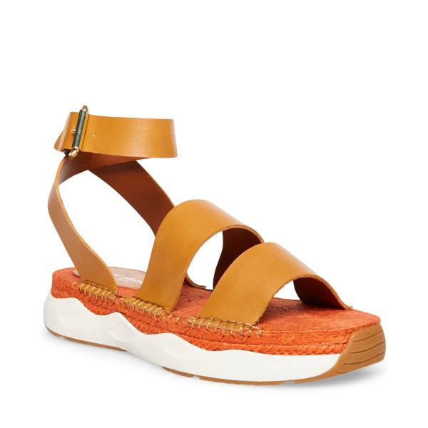 Sandalias Steve Madden Springs Tan Paris Feminino Marrom | SM-614UF