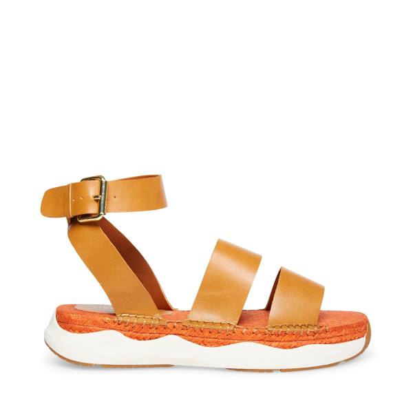 Sandalias Steve Madden Springs Tan Paris Feminino Marrom | SM-614UF