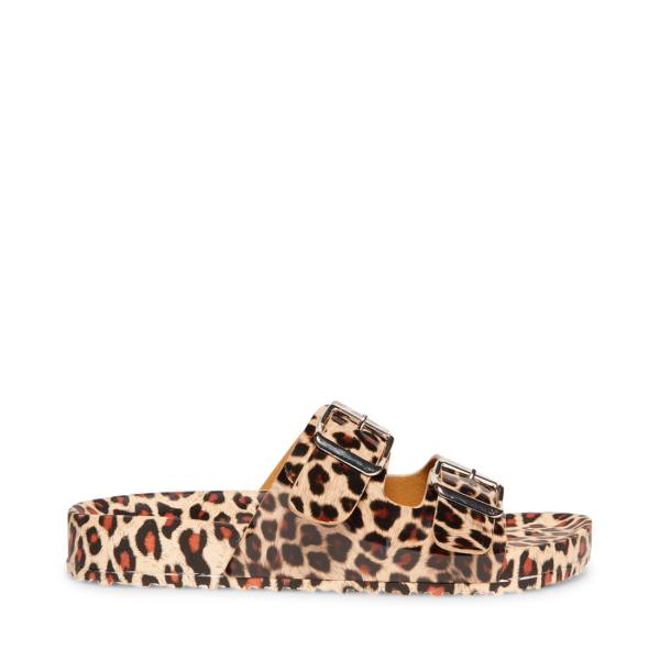 Sandalias Steve Madden Teddy-t Leopard Feminino Leopardo | SM-782YD