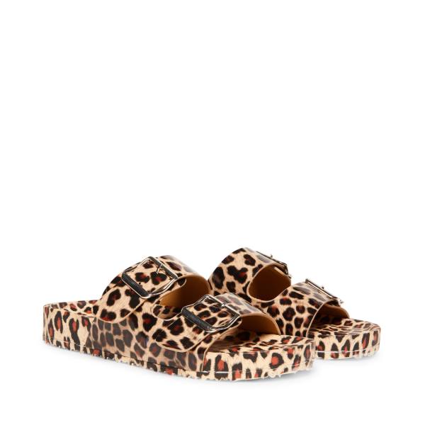 Sandalias Steve Madden Teddy-t Leopard Feminino Leopardo | SM-782YD