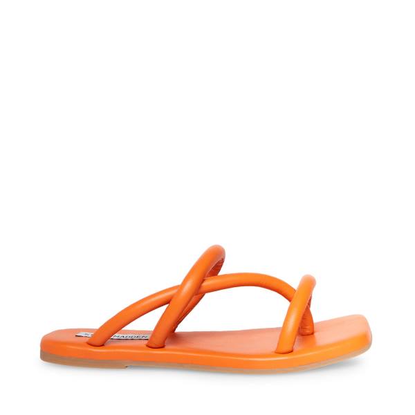 Sandalias Steve Madden Tropic Feminino Laranja | SM-350OR