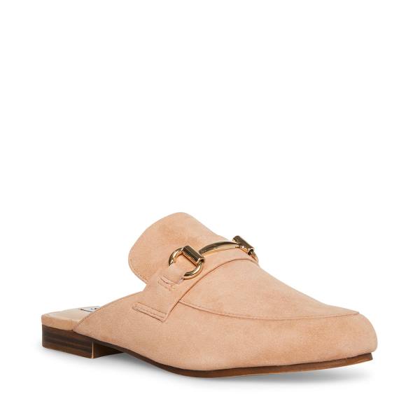 Sapatos Rasos Steve Madden Kandi Camel Camurça Feminino Marrom | SM-263EV