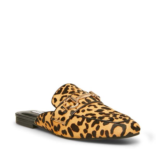 Sapatos Rasos Steve Madden Rylie Leopard Feminino Leopardo | SM-092QV