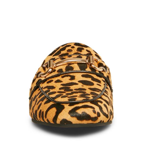 Sapatos Rasos Steve Madden Rylie Leopard Feminino Leopardo | SM-092QV