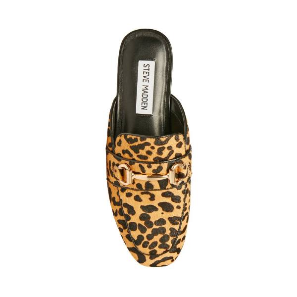 Sapatos Rasos Steve Madden Rylie Leopard Feminino Leopardo | SM-092QV