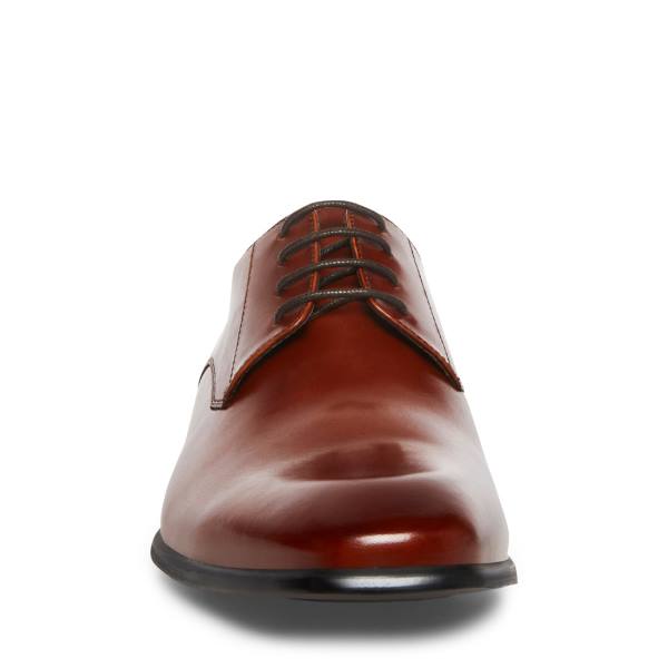 Sapatos Sociais Steve Madden Beaux Cognac Couro Masculino Marrom | SM-817IJ