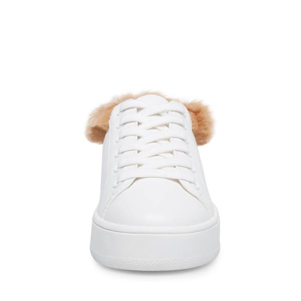 Tenis Steve Madden Brenner Feminino Branco Multicoloridas | SM-065ES