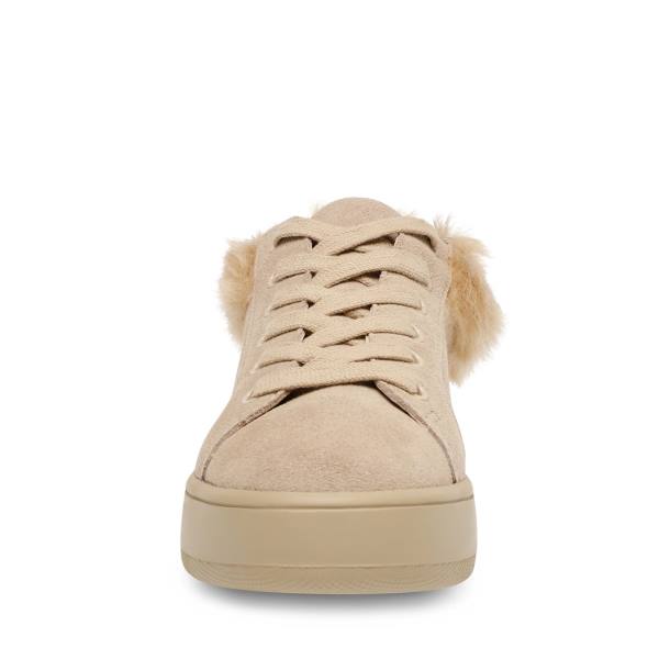 Tenis Steve Madden Brenner Tan Feminino Marrom Multicoloridas | SM-637SG