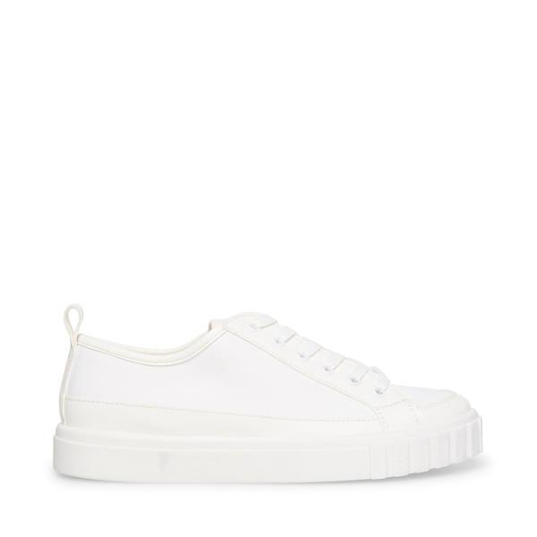 Tenis Steve Madden Caleb Feminino Branco | SM-386CX