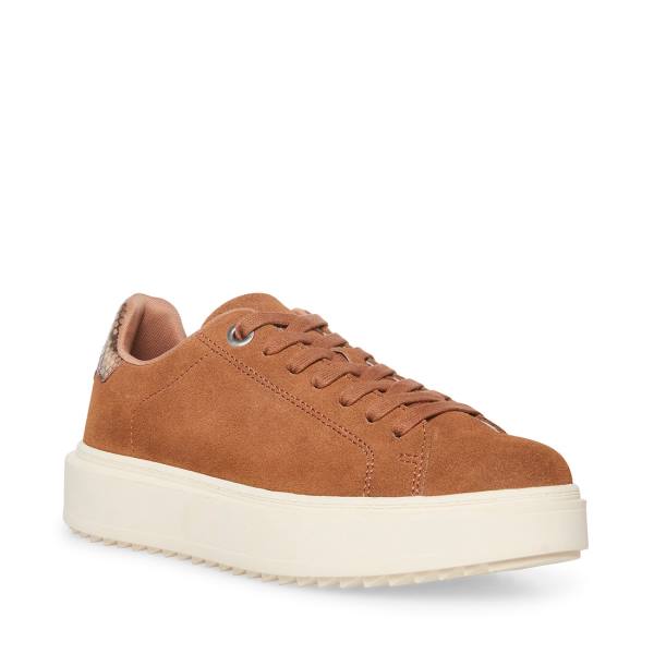 Tenis Steve Madden Catcher Mocha Feminino Bege | SM-705QL