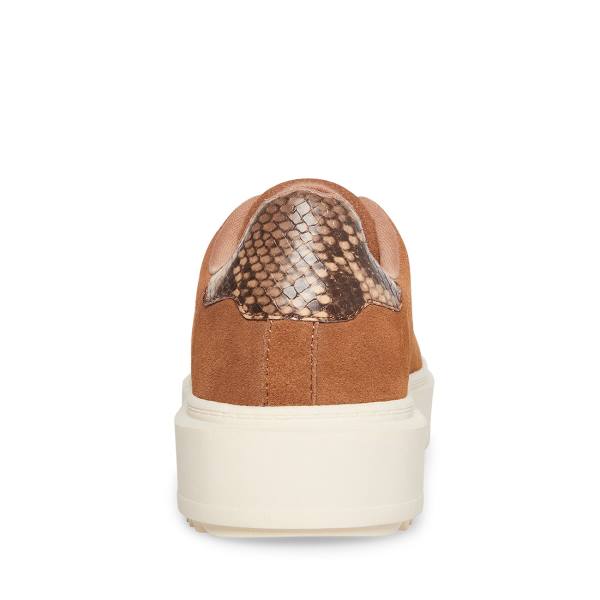 Tenis Steve Madden Catcher Mocha Feminino Bege | SM-705QL