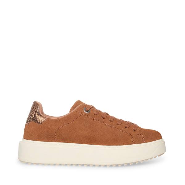 Tenis Steve Madden Catcher Mocha Feminino Bege | SM-705QL