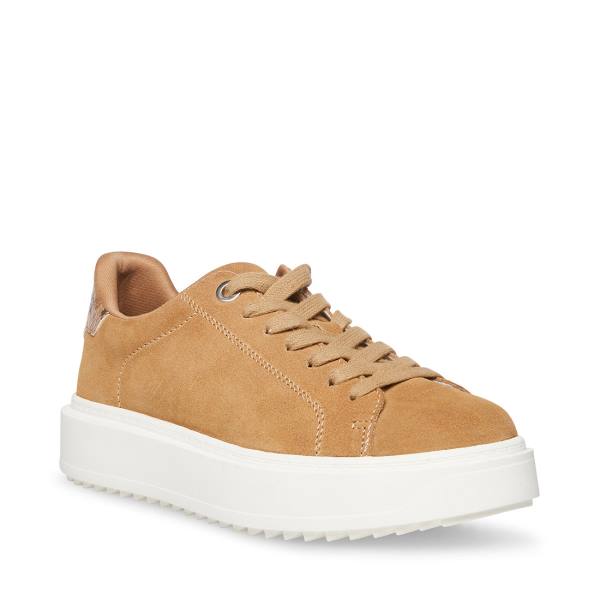 Tenis Steve Madden Catcher Taupe Camurça Feminino Cinzentas Marrom | SM-983PQ