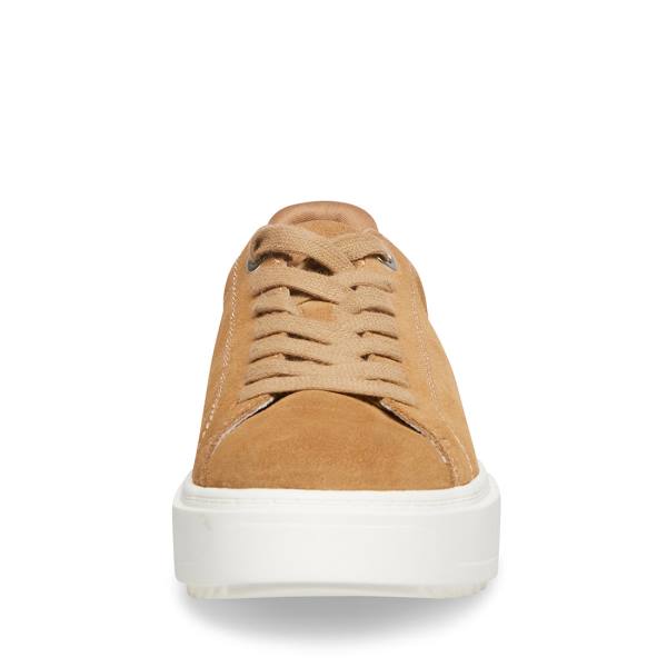 Tenis Steve Madden Catcher Taupe Camurça Feminino Cinzentas Marrom | SM-983PQ