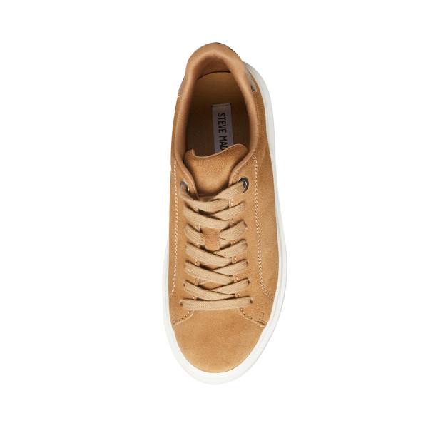 Tenis Steve Madden Catcher Taupe Camurça Feminino Cinzentas Marrom | SM-983PQ