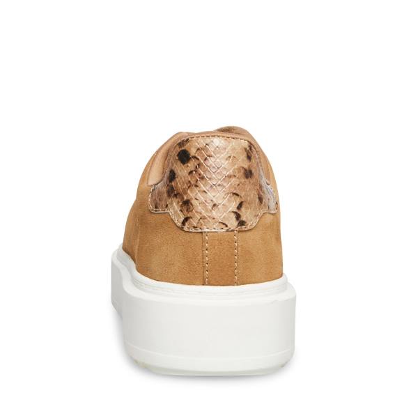 Tenis Steve Madden Catcher Taupe Camurça Feminino Cinzentas Marrom | SM-983PQ