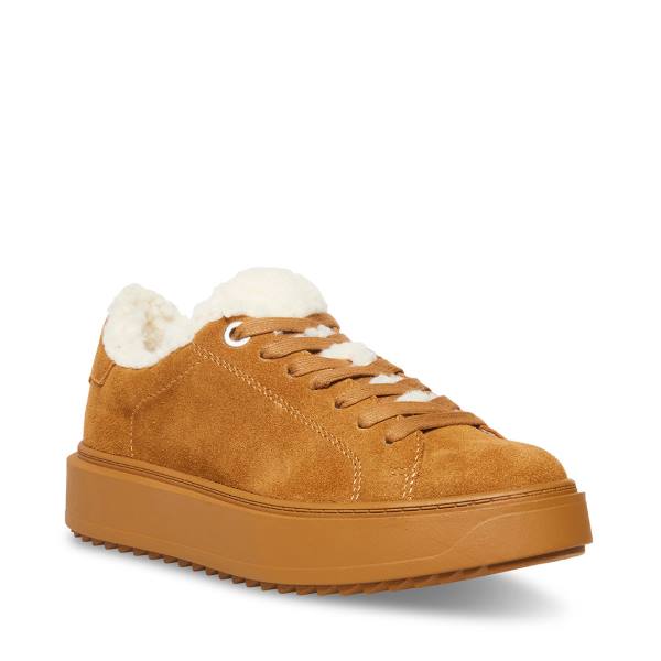 Tenis Steve Madden Catcher-f Chestnut Camurça Feminino Marrom | SM-854WT