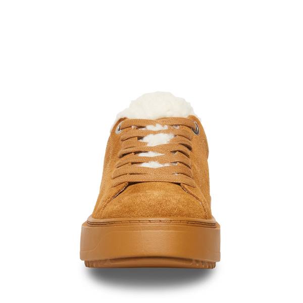 Tenis Steve Madden Catcher-f Chestnut Camurça Feminino Marrom | SM-854WT