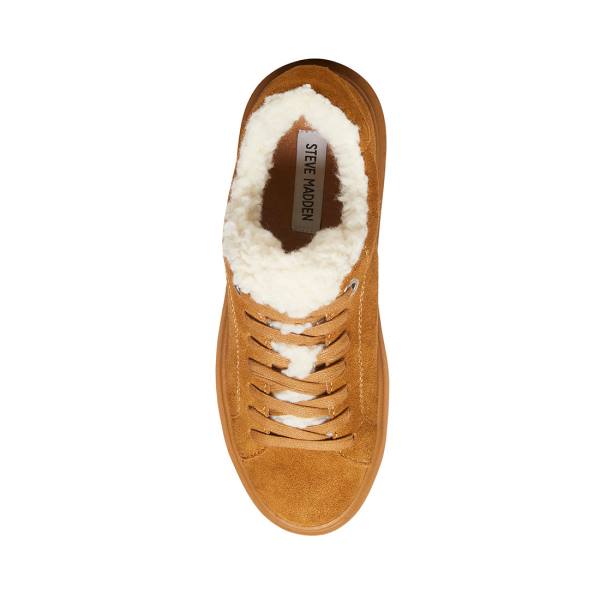 Tenis Steve Madden Catcher-f Chestnut Camurça Feminino Marrom | SM-854WT