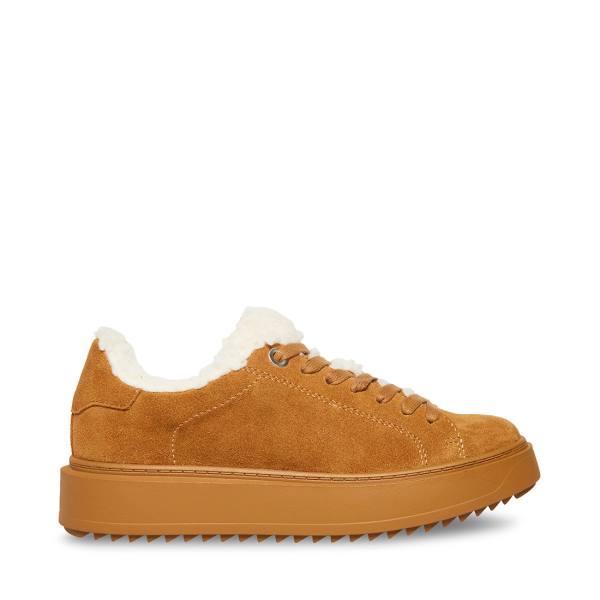 Tenis Steve Madden Catcher-f Chestnut Camurça Feminino Marrom | SM-854WT