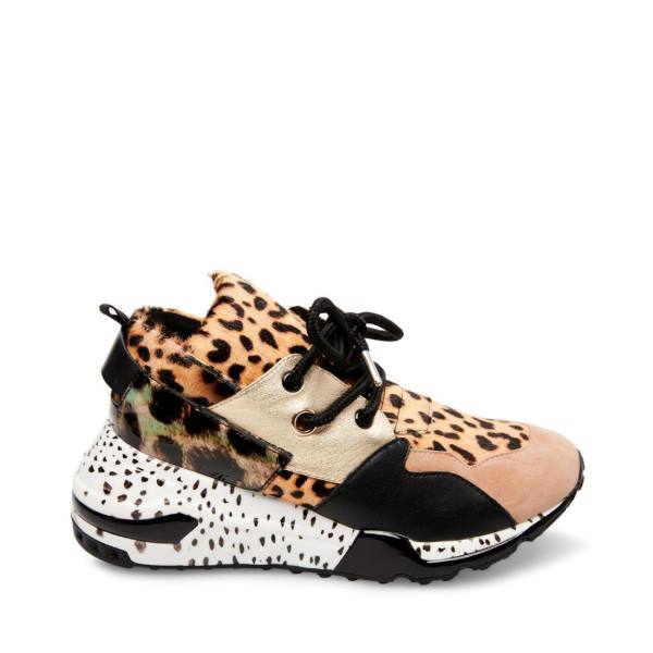 Tenis Steve Madden Cliff Feminino Leopardo | SM-289AY