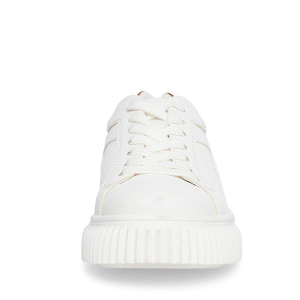 Tenis Steve Madden Dillyn Feminino Marrom Multicoloridas | SM-358YV